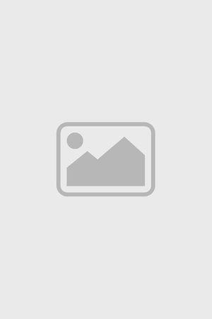 《霜落金枝步瑶台》宣传海报